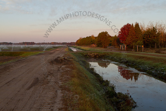 Cranberry Marsh II 2010-015