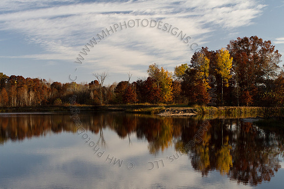 Cranberry Marsh II 2010-049