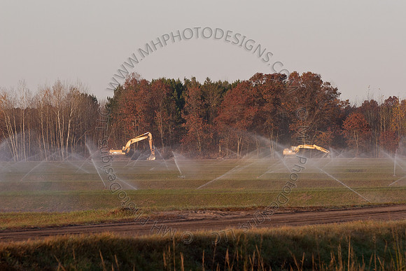 Cranberry Marsh II 2010-033