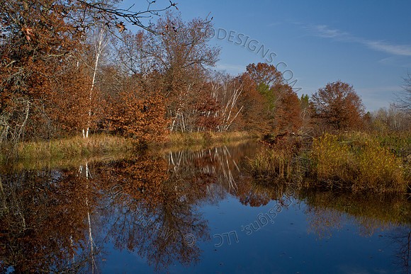 Cranberry Marsh II 2010-070