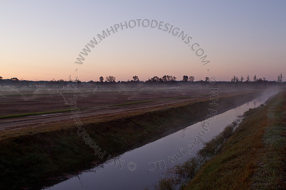 Cranberry Marsh II 2010-001