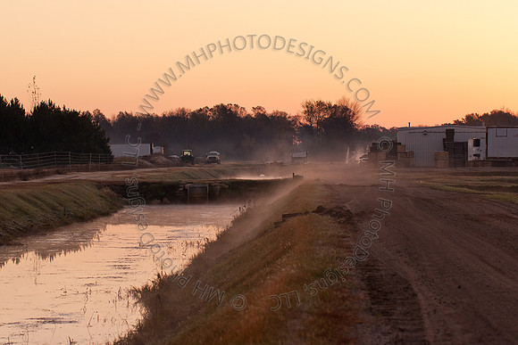 Cranberry Marsh II 2010-008