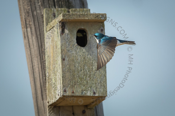 April Projects 2014-063