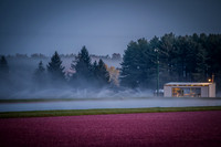 September Projects 2012-003
