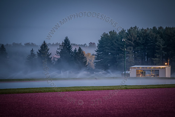 September Projects 2012-003