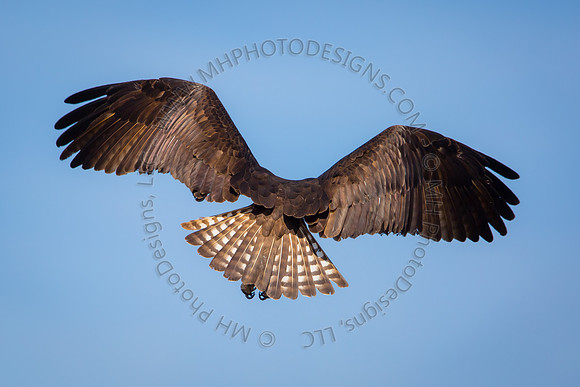 April Projects 2014-089