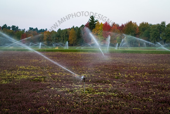 September Projects 2012-004