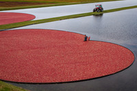 September Projects 2012-007