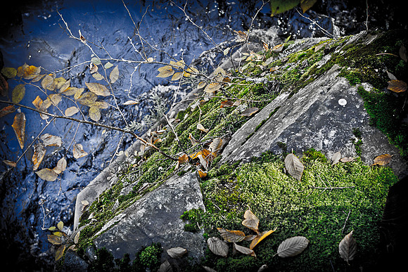 October Projects 2011-006