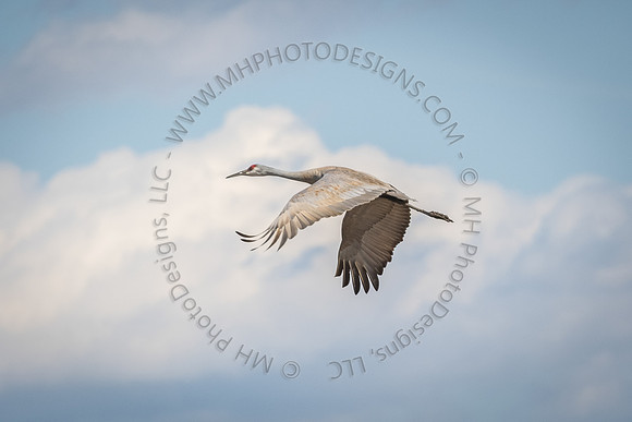 April Projects 2015-004
