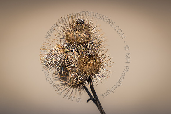 April Projects 2015-003