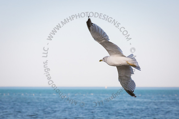 September Projects 2014-001