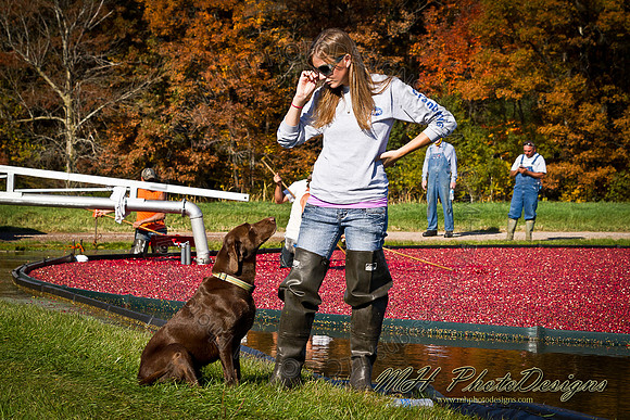 October Projects 2011-009