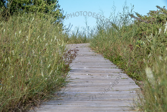September Projects 2014-003