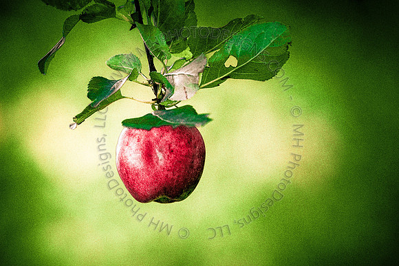 October Projects 2013-011