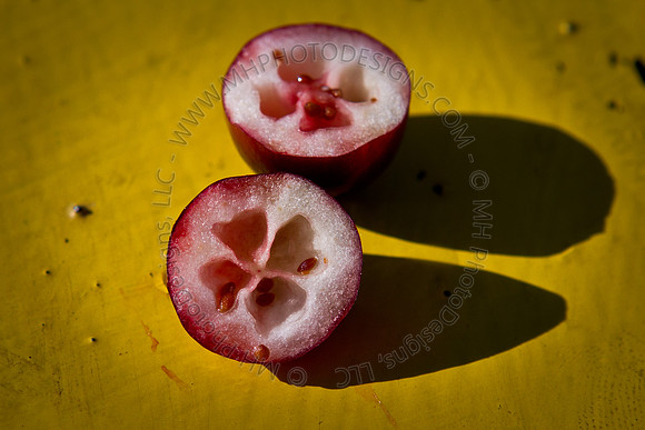 October Projects 2010-039*