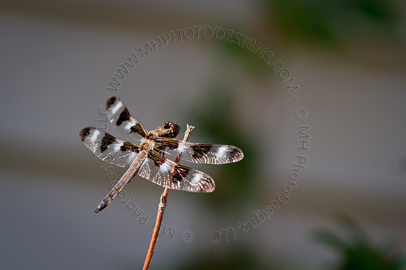 July Projects 2011-002