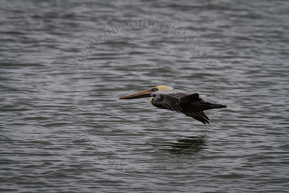 Florida 2012 ~ Week 3-268