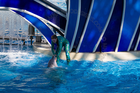 Florida 2012 ~ Week 3-106