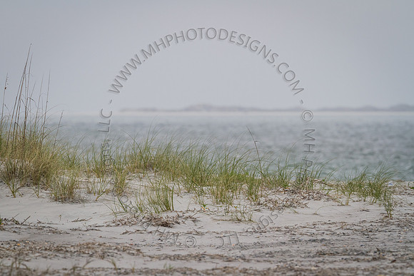 Florida 2012 ~ Week 3-260