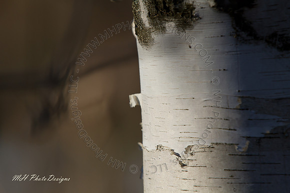 April Projects 2010-023