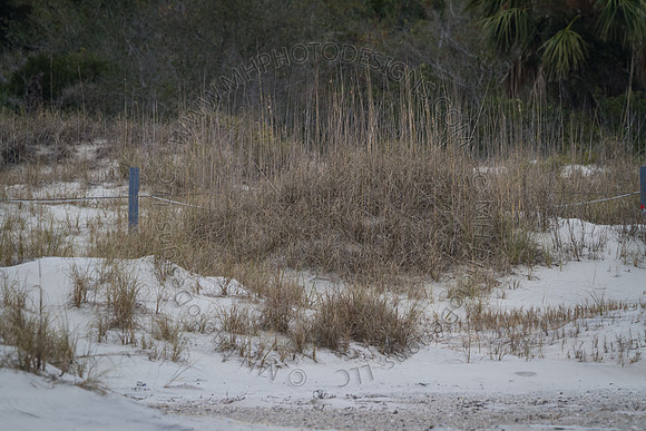 Florida 2012 ~ Week 3-259