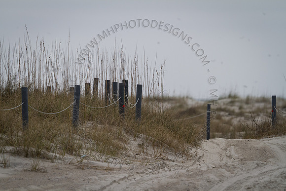 Florida 2012 ~ Week 3-235