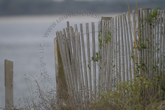 Florida 2012 ~ Week 3-270