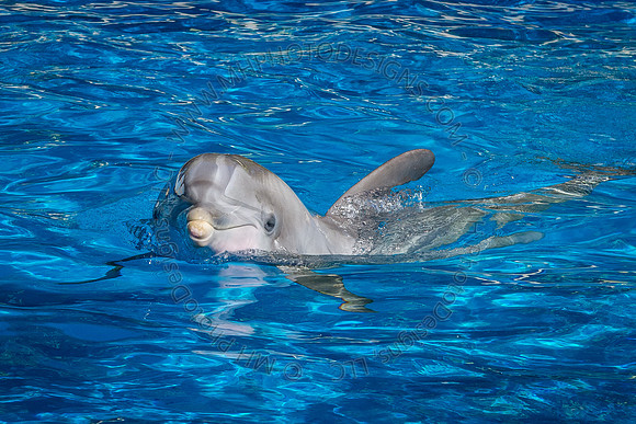 Florida 2012 ~ Week 3-026