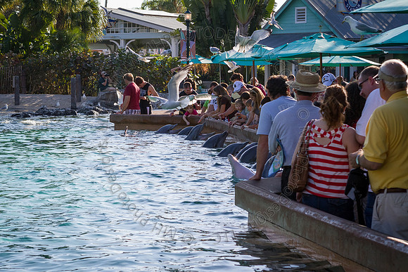 Florida 2012 ~ Week 3-162