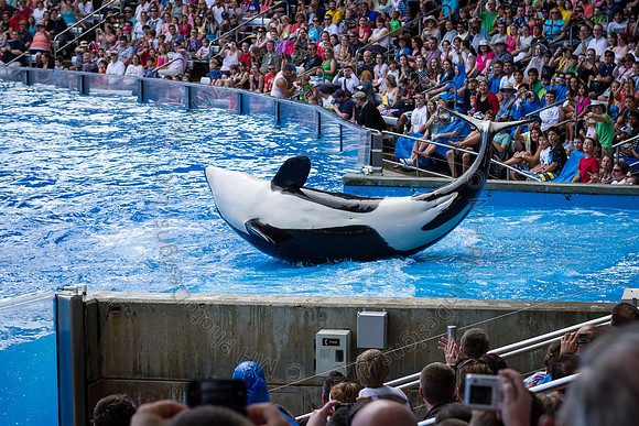 Florida 2012 ~ Week 3-033