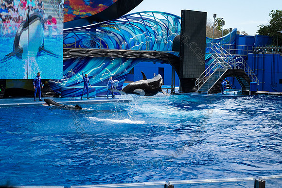 Florida 2012 ~ Week 3-037