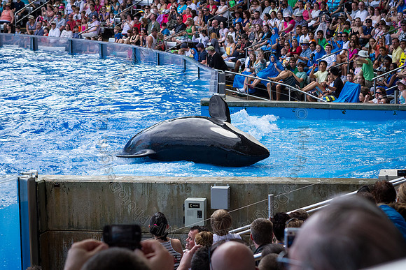 Florida 2012 ~ Week 3-032