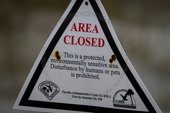 Florida 2012 ~ Week 3-258