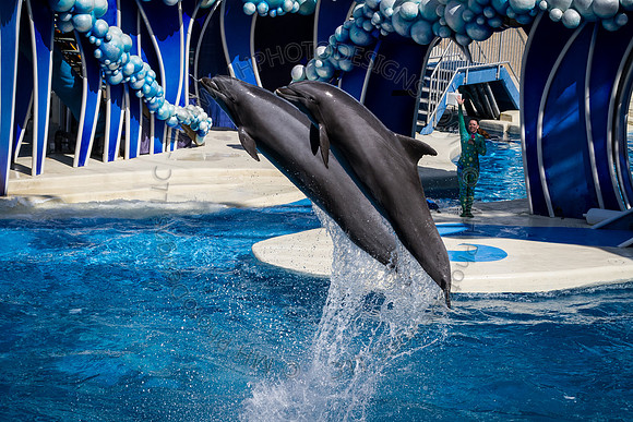 Florida 2012 ~ Week 3-101