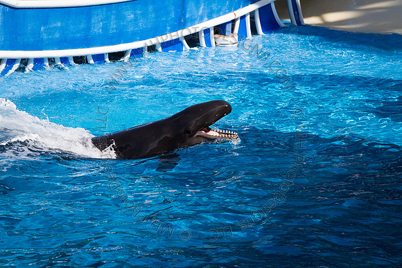 Florida 2012 ~ Week 3-121