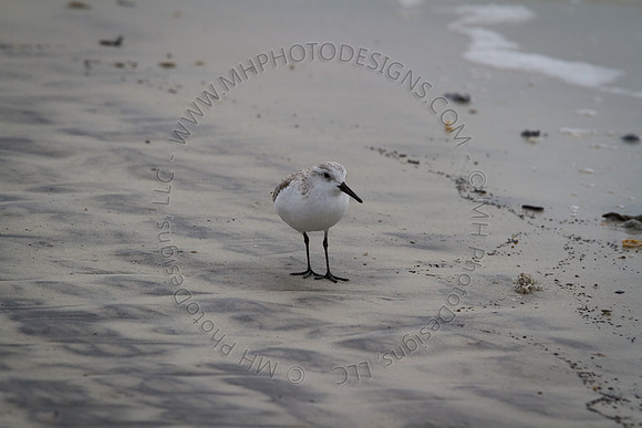 Florida 2012 ~ Week 3-199