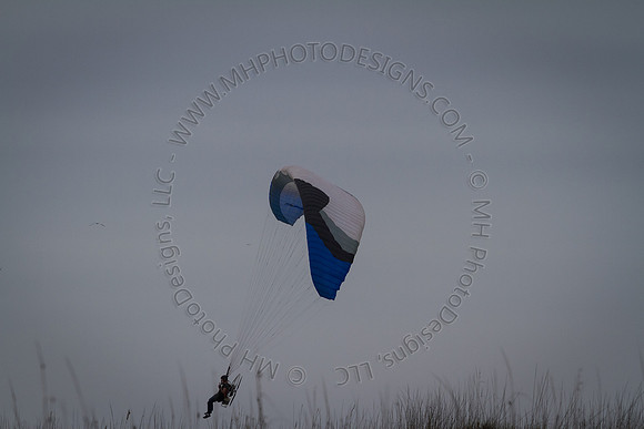 Florida 2012 ~ Week 3-239