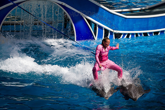 Florida 2012 ~ Week 3-130