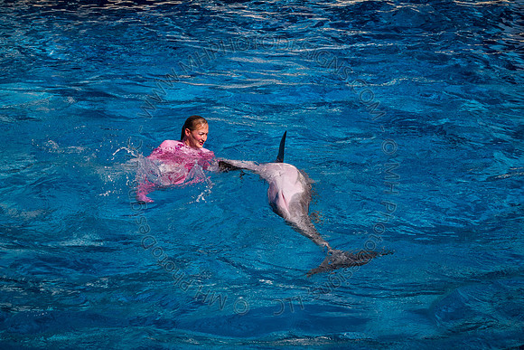 Florida 2012 ~ Week 3-097