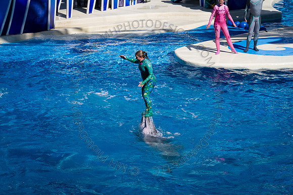 Florida 2012 ~ Week 3-103