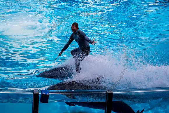 Florida 2012 ~ Week 3-127