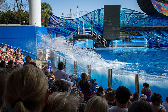 Florida 2012 ~ Week 3-066