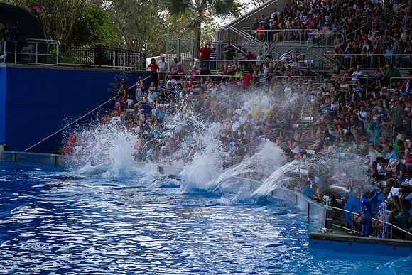 Florida 2012 ~ Week 3-061