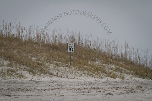Florida 2012 ~ Week 3-218