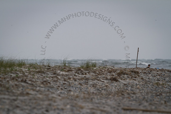 Florida 2012 ~ Week 3-246