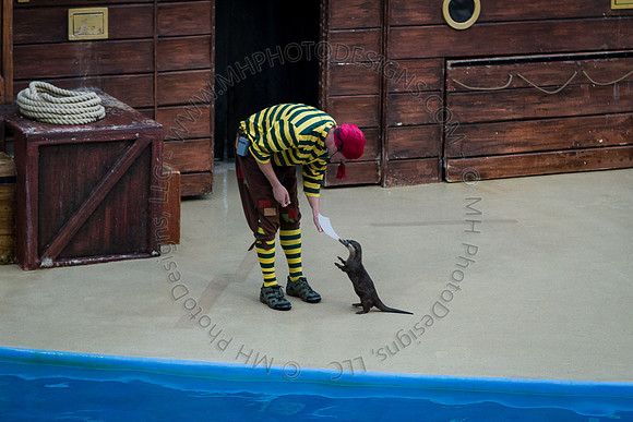Florida 2012 ~ Week 3-181