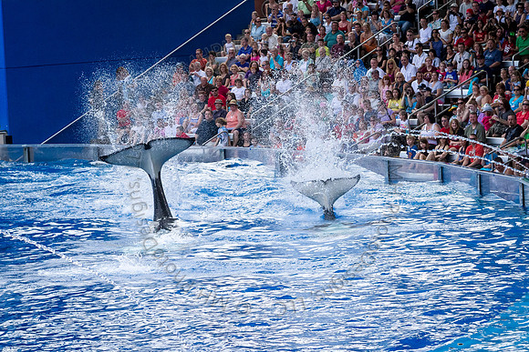 Florida 2012 ~ Week 3-053