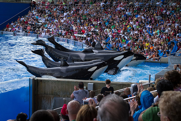 Florida 2012 ~ Week 3-068