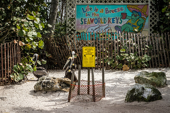 Florida 2012 ~ Week 3-089